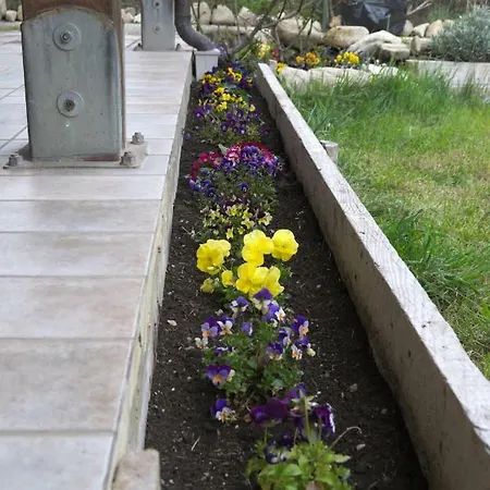 Apartamento Le Lanterne Assisi *